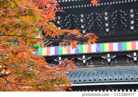 空海光明寺山門和美麗的秋葉 空海光明寺山門和美麗的秋葉 115380477