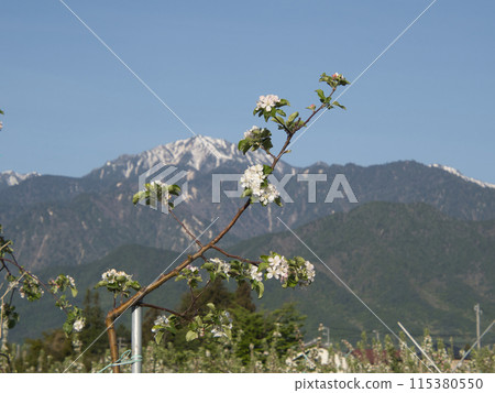 Spring snow still remaining on Mt. Gaki 115380550