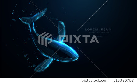Top view Whale. Low polygonal, wireframe, linear and mesh illustration 115380798