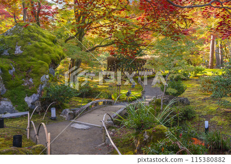 Autumn in Kyoto, Hogon-in Temple, Shishiku Garden 115380882