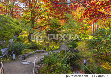 Autumn in Kyoto, Hogon-in Temple, Shishiku Garden 115380883