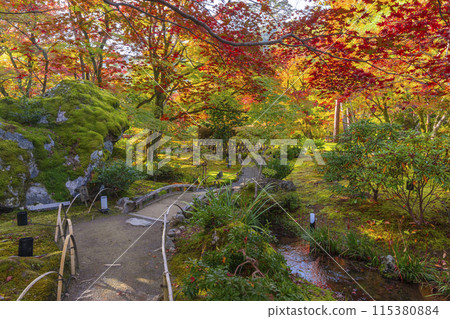 Autumn in Kyoto, Hogon-in Temple, Shishiku Garden 115380884