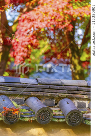 京都的秋天，寶嚴院，獅吼庭，土牆和楓葉 115380905
