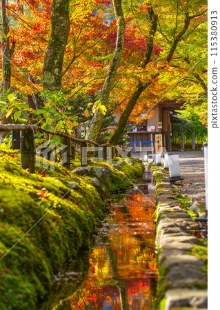 Autumn in Kyoto: Hogon-in Temple - Tunnel of autumn leaves and entrance gate 115380913