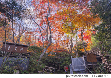 秋天的京都、只王寺的參道與秋葉 秋天的京都、只王寺的參道與秋葉 115380916
