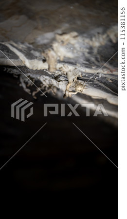 Mysterious Cave Formations in the Depths of Darkness 115381156