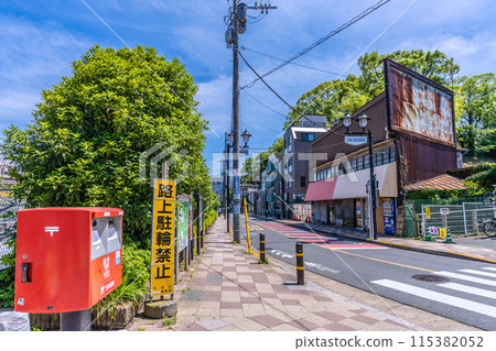 Tokyo cityscape in Japan, overlooking the Tokyu Railway Tamagawa Station (South Exit) Tokyo cityscape in Japan, overlooking the Tokyu Railway Tamagawa Station (South Exit) 115382052