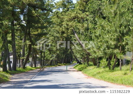Pine Tree Line of Goyu on the Tokaido Pine Tree Line of Goyu on the Tokaido 115382229