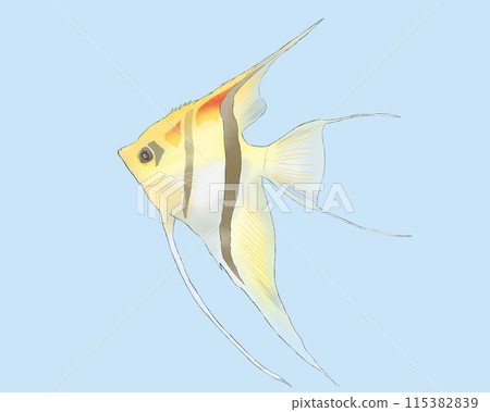 熱帶魚的可愛插畫 熱帶魚的可愛插畫 115382839