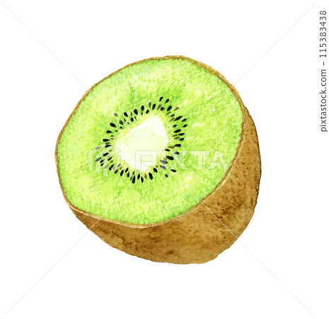 Hand-drawn watercolor illustration of green kiwi fruit cut in half 115383438