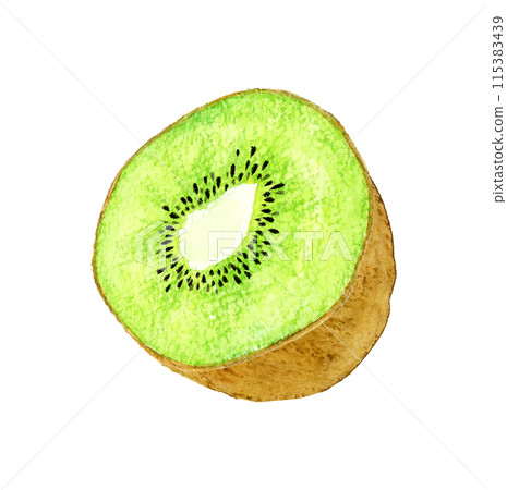 Hand-drawn watercolor illustration of green kiwi fruit cut in half 115383439