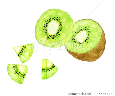 Cut green kiwi fruit hand-drawn watercolor illustration 115383448