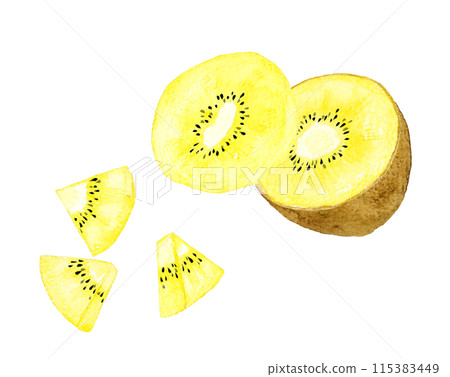 Cut gold kiwi fruit hand-drawn watercolor illustration 115383449