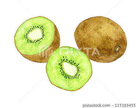 Hand-drawn watercolor illustration of green kiwi fruit cut in half 115383455
