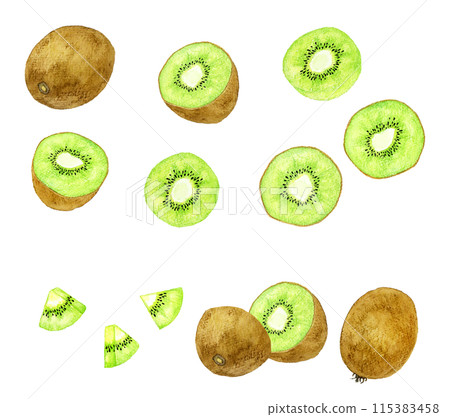 綠色奇異果套裝-手繪水彩水果插畫合輯 115383458