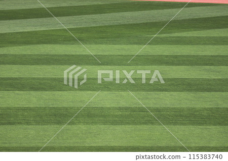 Mazda Stadium's outfield grass Mazda Stadium's outfield grass 115383740