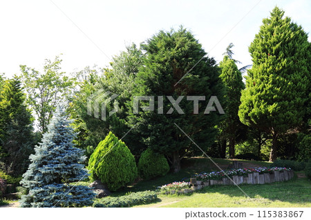 Musashino Forest Park 115383867