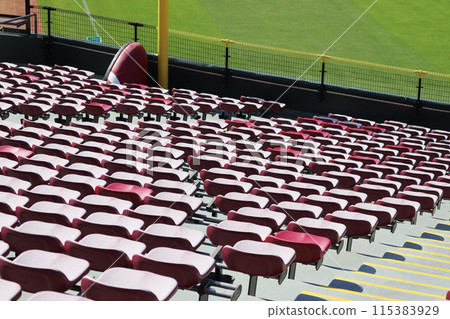 馬自達體育場的左場座位和突出的尖刺 115383929