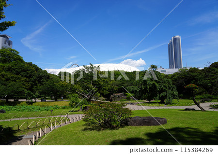 Tokyo Dome as seen from Koishikawa Korakuen 115384269