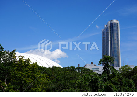Tokyo Dome as seen from Koishikawa Korakuen 115384270