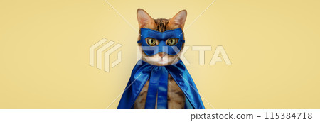 Bengal cat on a white background, fluffy orange, black striped, pet, big beautiful cat Bengal cat on a white background, fluffy orange, black striped, pet, big beautiful cat 115384718