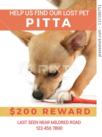 Composition of help us find our lost pet pitta text over dog on white background Composition of help us find our lost pet pitta text over dog on white background 115386751