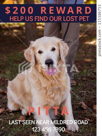 Composition of help us find our lost pet pitta text over dog and owner in park Composition of help us find our lost pet pitta text over dog and owner in park 115386753