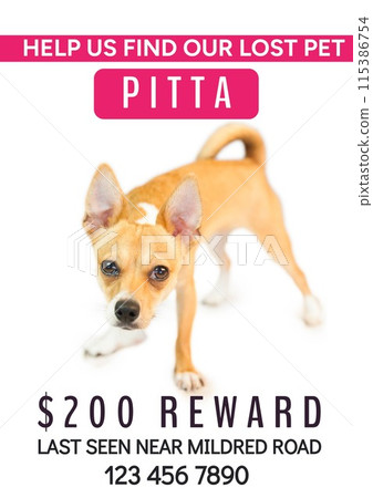 Composition of help us find our lost pet pitta text over dog on white background Composition of help us find our lost pet pitta text over dog on white background 115386754