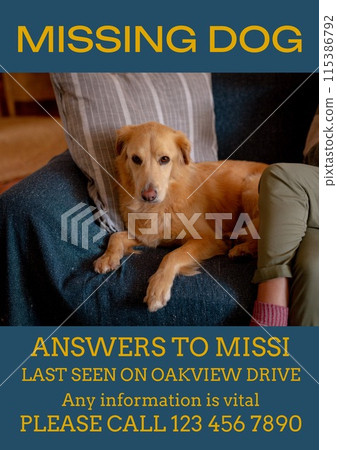 Composition of poster with missing dog text over dog lying on sofa on blue background 115386792