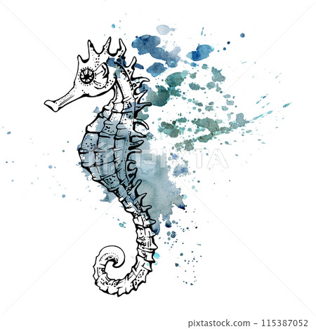 Watercolor and ink hand drawn marine life, sea ocean underwater creatures. fish, shells algae seaweed. Single object illustration, stylized, isolated on white. Zoo shop, aquarium, cosmetics, resort Watercolor and ink hand drawn marine life, sea ocean underwater creatures. fish, shells algae seaweed. Single object illustration, stylized, isolated on white. Zoo shop, aquarium, cosmetics, resort 115387052