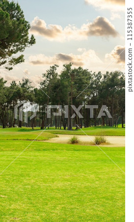 Panoramic view of beautiful golf course with pines with dramatic sky and clouds 115387355