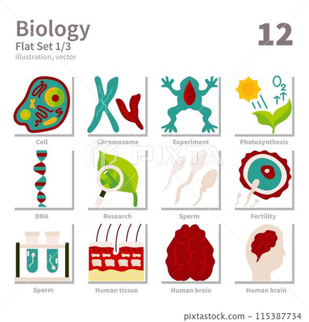 Biology icons set, Flat, vector and illustration set 1 115387734