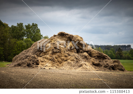 Pile of manure on field - rural scene 115388413