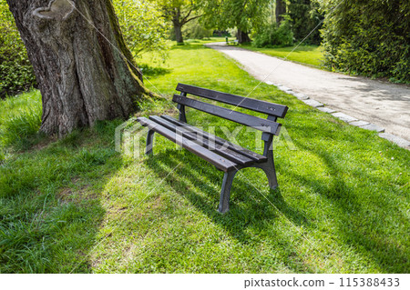 Bench in empty spring park with path on background 115388433