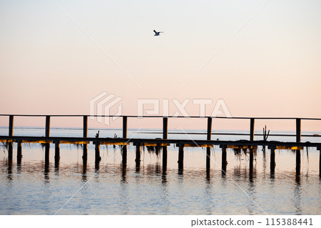 Sunset sea pier with seagull on sky and boat on background, Grado, Italy, Europe 115388441