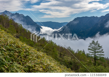 Mountain climbing Mt. 115388849