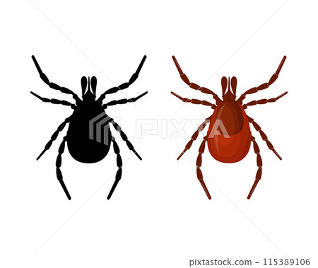 Mite. The silhouette of a tick is a top view. A blood-sucking parasite. The insect is a pest. Vector illustration isolated on a white background 115389106