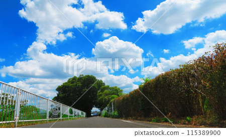 埼玉縣川口市芝川自行車道及藍天 埼玉縣川口市芝川自行車道及藍天 115389900