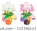 White and pink potted phalaenopsis orchid vector illustration 115390223