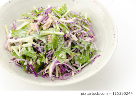 Purple cabbage and mizuna salad 115390244
