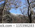 Mount Geumgang 115390283