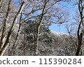 Mount Geumgang 115390284
