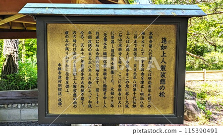 大阪城二之丸蓮如上人袍上的松銘 大阪城二之丸蓮如上人袍上的松銘 115390491