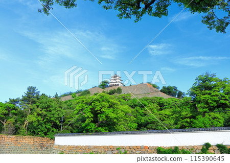 [香川縣]從北側的內護城河看到的五月天氣的丸龜城（現存天守閣和石牆的名城） 115390645