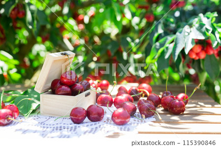 Still life of cherries in wooden box on table in garden 115390846