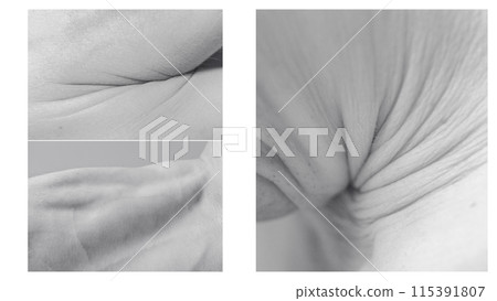 Soft Contours. Black and white images of male cropped close-up body parts, forming art of landscapes and natural curves. Visual experience. Soft Contours. Black and white images of male cropped close-up body parts, forming art of landscapes and natural curves. Visual experience. 115391807