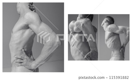 Grace and elegance. Detailed muscle structure of back and arms, cropped images of shirtless male body parts. Visual texture of muscular form. Monochrome collage. Grace and elegance. Detailed muscle structure of back and arms, cropped images of shirtless male body parts. Visual texture of muscular form. Monochrome collage. 115391882