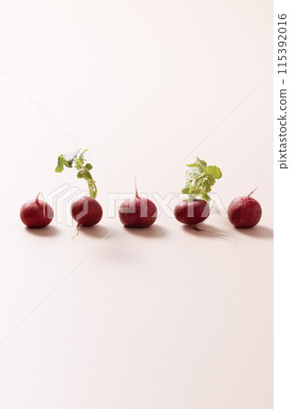 Arrangement of cute laddish with a light beige background 115392016