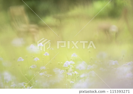 小山增水高原的秋季彩色影像 小山增水高原的秋季彩色影像 115393271
