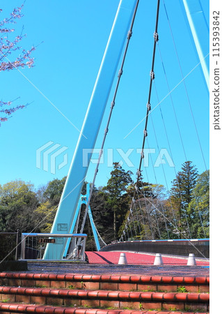 Shinonome Sakurabashi Bridge/Mibu Town, Tochigi Prefecture 115393842